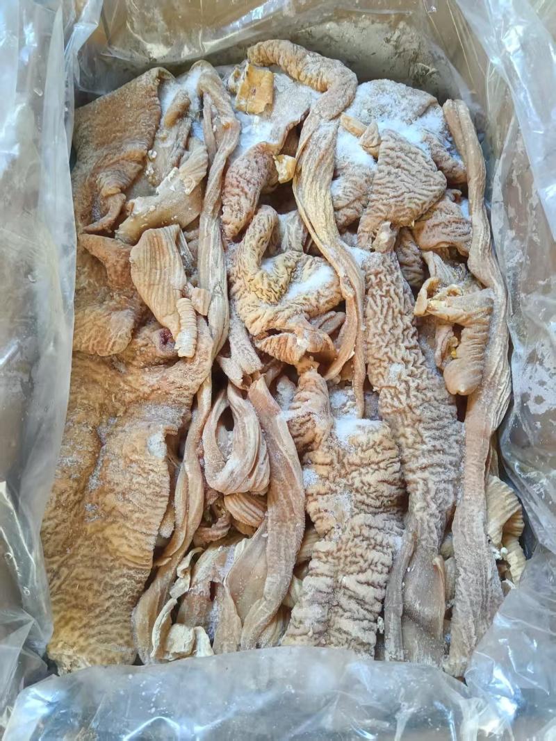 国产去油牛大肠纯清水煮纯干货精品肠肚