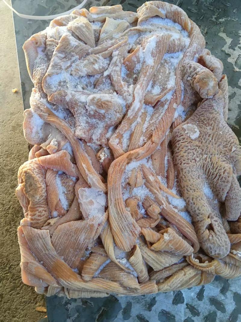 国产去油牛大肠纯清水煮纯干货精品肠肚