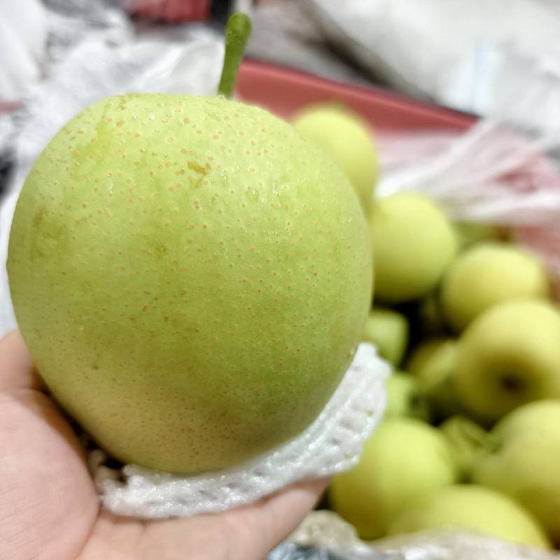 青皇冠