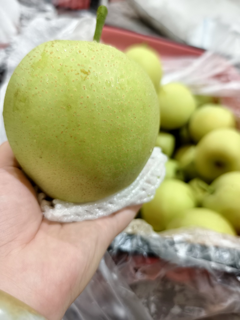 青皇冠
