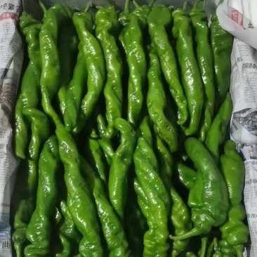 螺丝椒