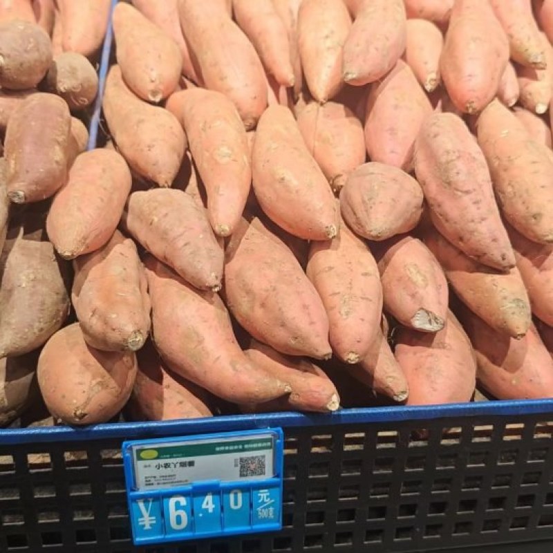 哈密红薯大量上市