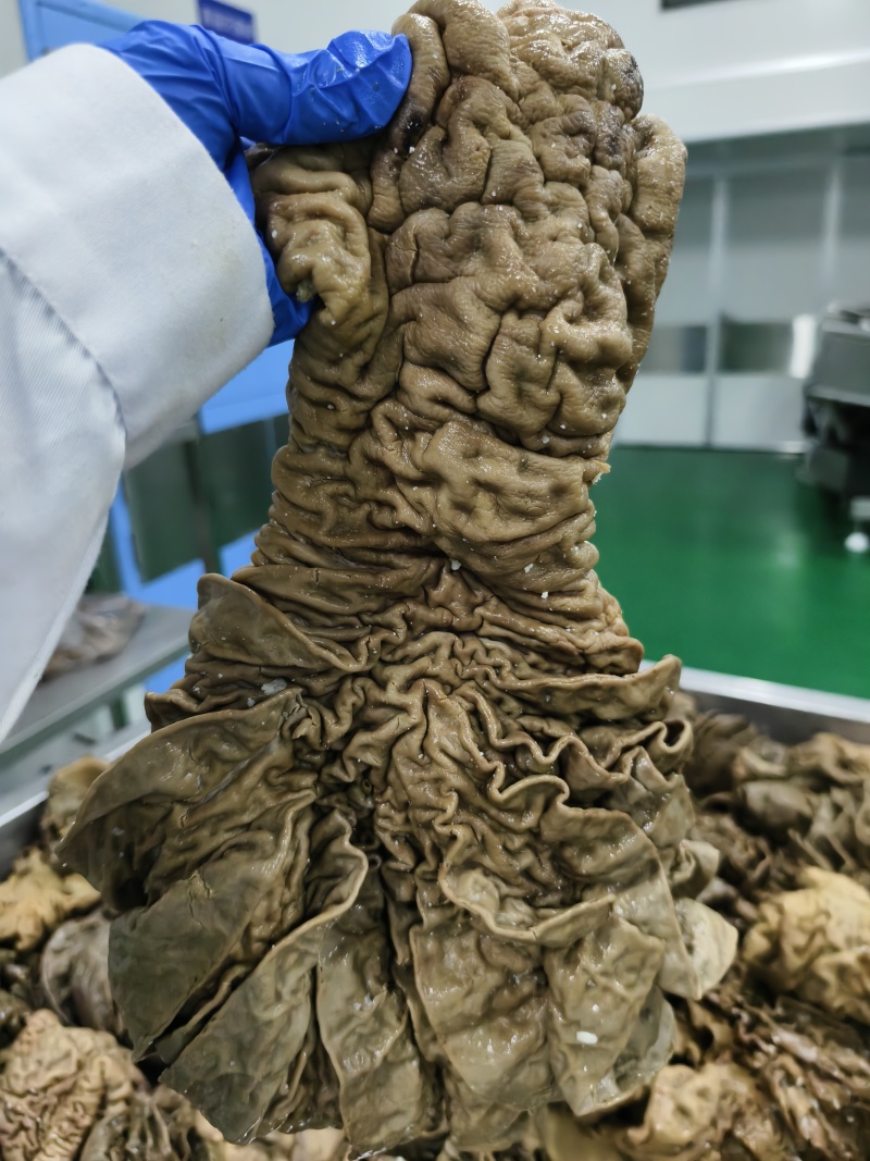 五香牛散袋