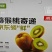 贵州修文猕猴桃一件代发