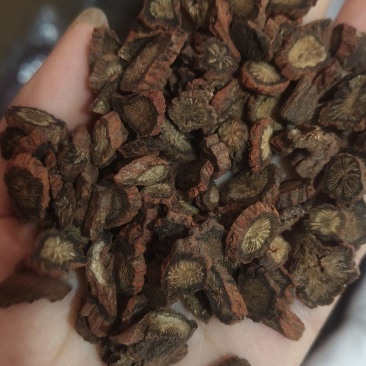 《紫丹参》正品紫丹参片过筛选货货干现货实物拍摄