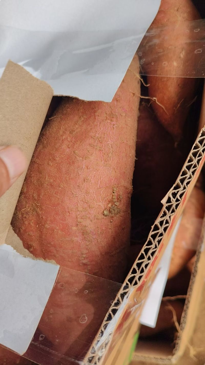 商薯19白心的红薯，山东邹城市，产地直供，