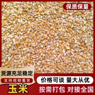 玉米粒，新鲜现货，产地直发品质保证，量大从优！