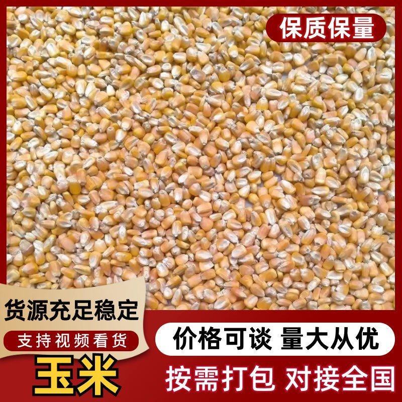 玉米粒，新鲜现货，产地直发品质保证，量大从优！