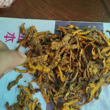 黄连，黄连片