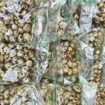 纯盐水鹌鹑蛋