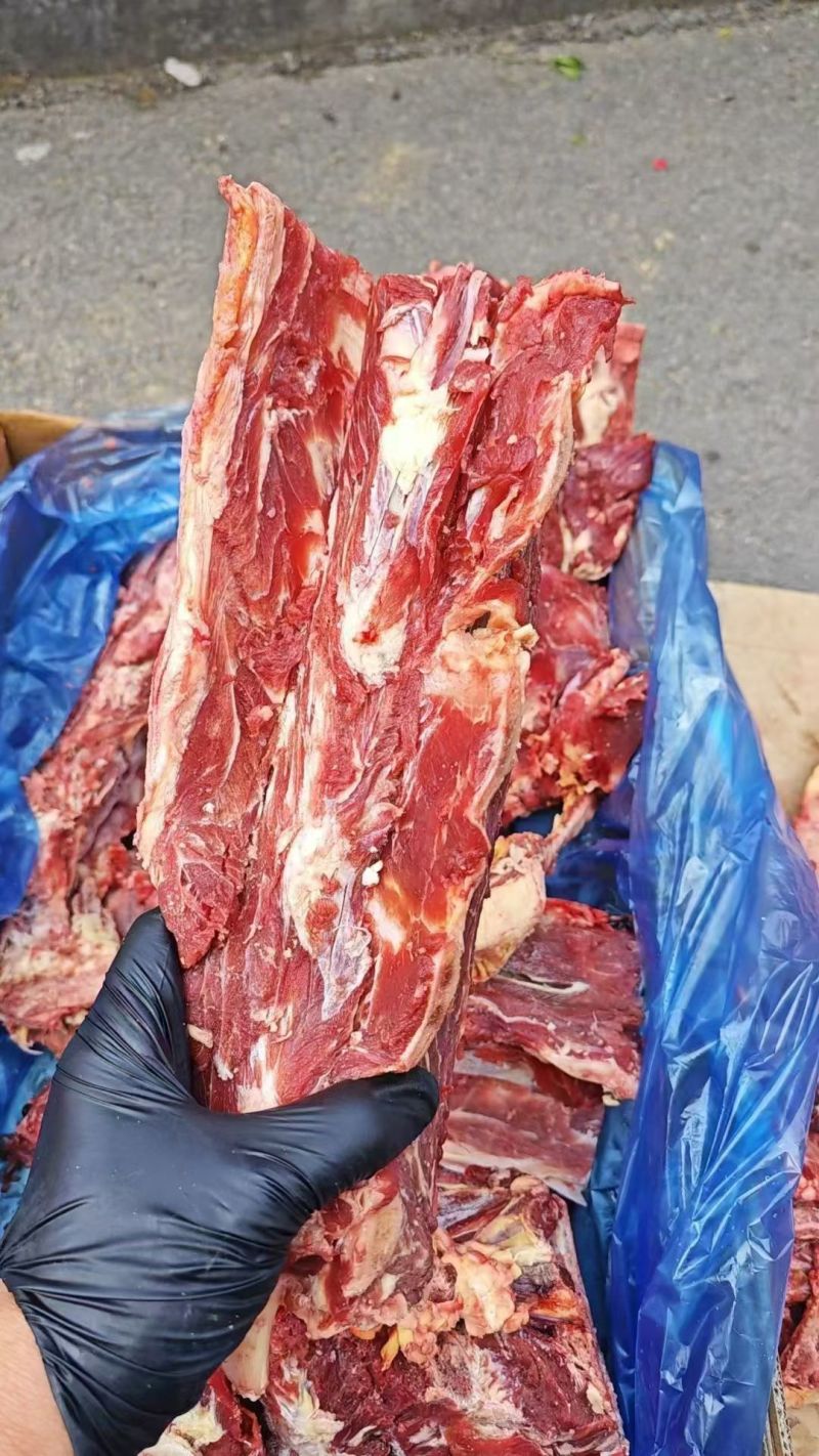 486牛脊骨