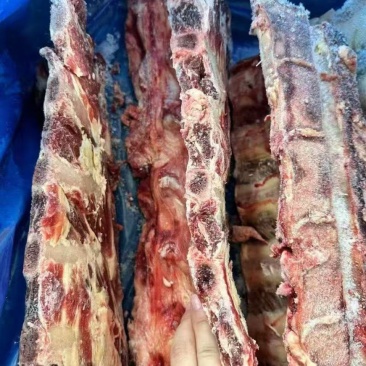 3416多肉牛脊骨