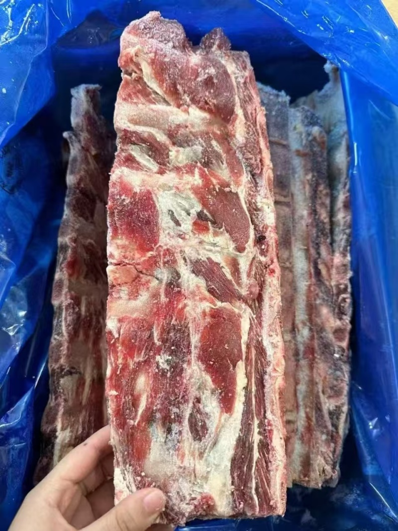 3416多肉牛脊骨