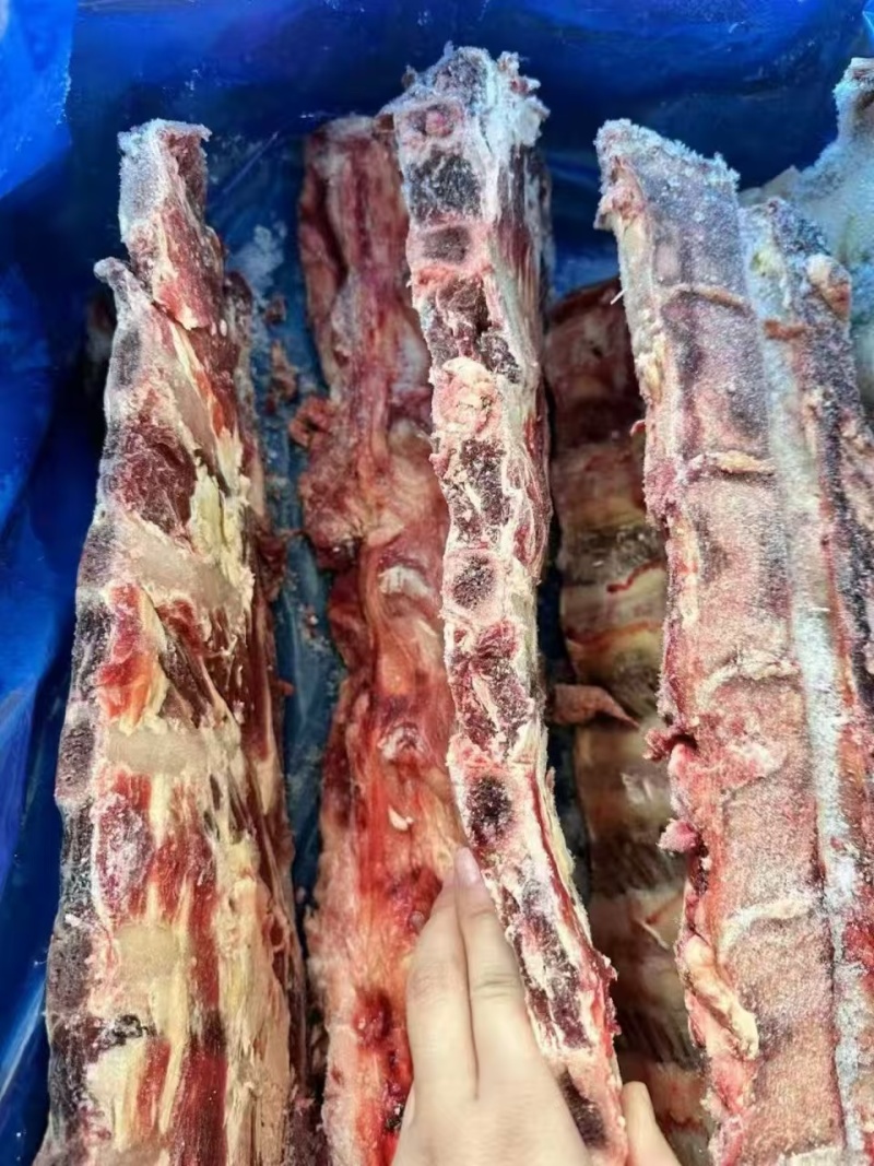 3416多肉牛脊骨
