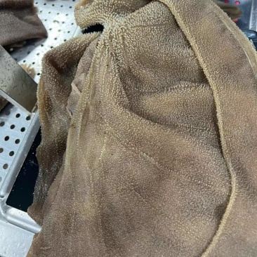 毛肚大叶片