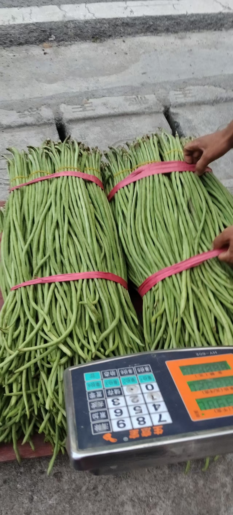 青豆角长豆，货源充足，产地直销