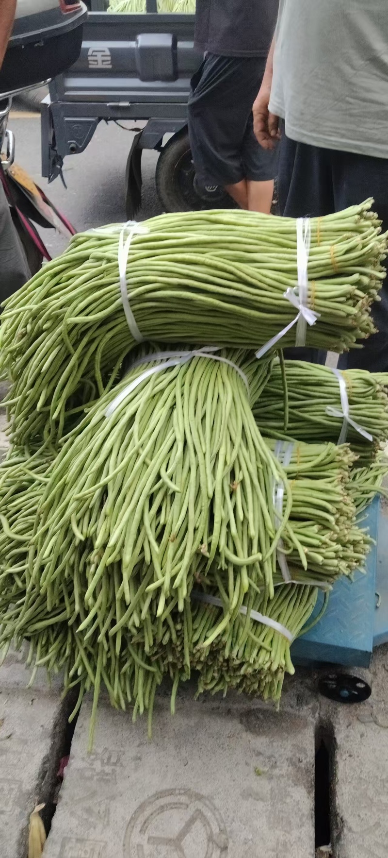 青豆角长豆，货源充足，产地直销