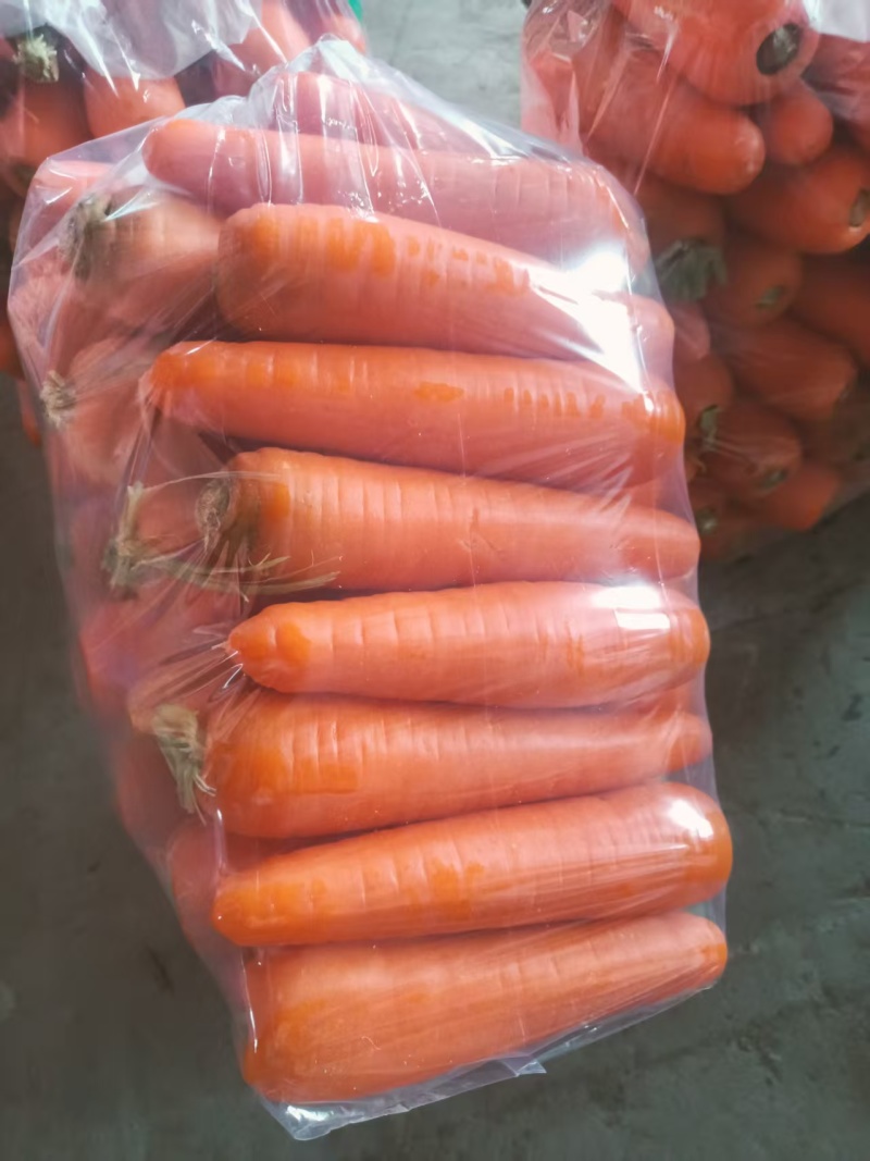 新季胡萝卜三红胡萝卜开封胡萝卜大量供应可视频看货欢