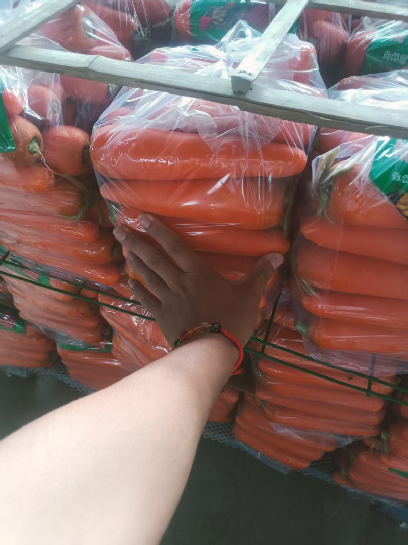 新季胡萝卜三红胡萝卜开封胡萝卜大量供应可视频看货欢