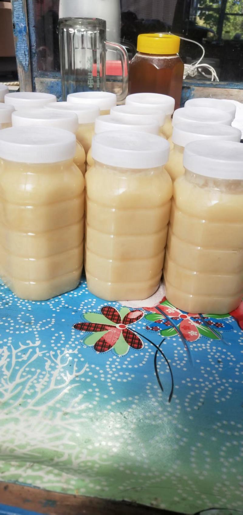 东北伊春纯正黑蜂椴树蜜
