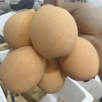 蒙自市鑫瑞种植农民专业合作社