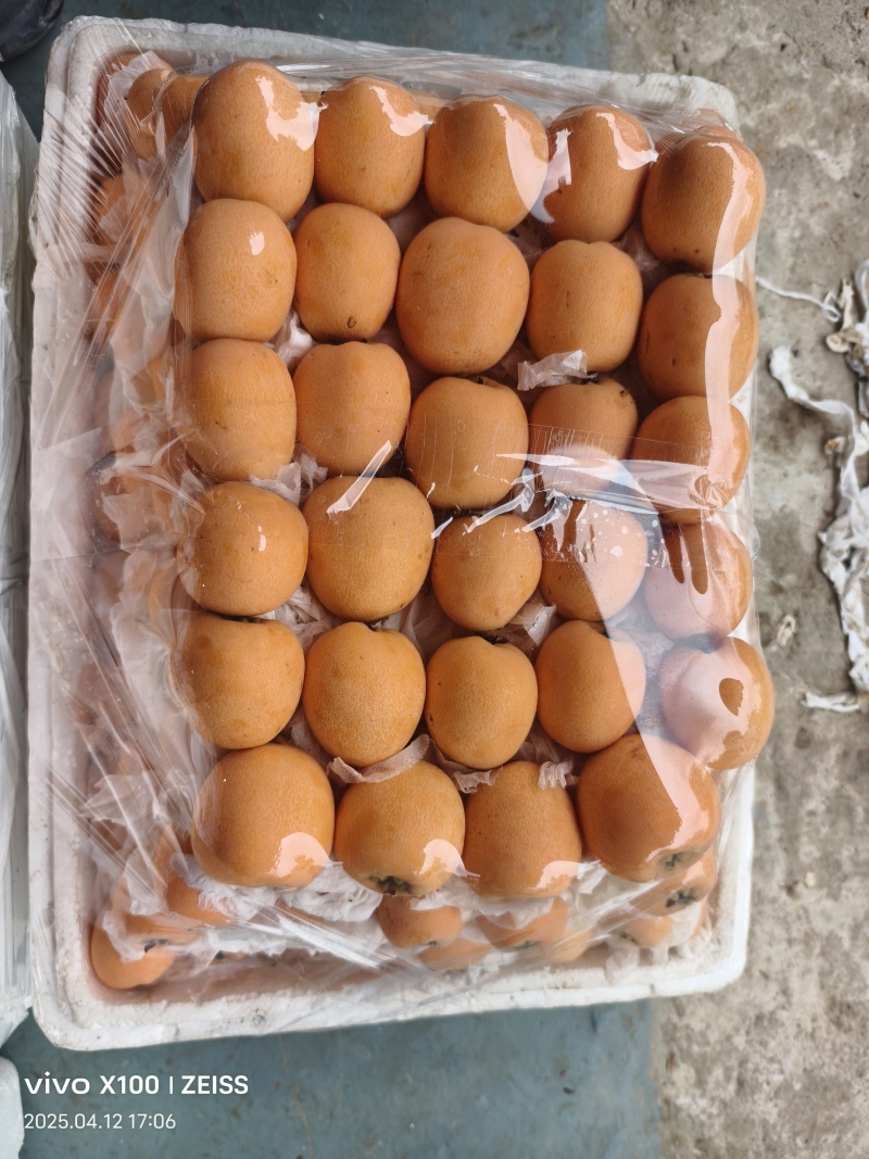 蒙自市鑫瑞种植农民专业合作社