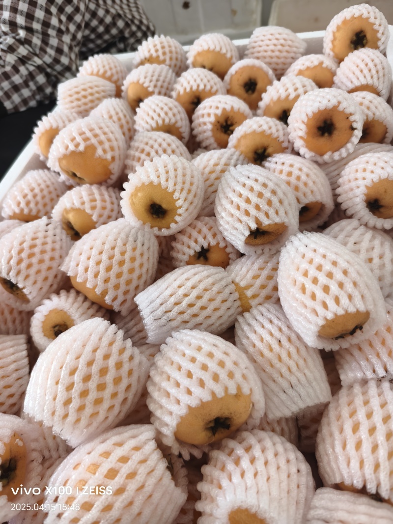 蒙自市鑫瑞种植农民专业合作社
