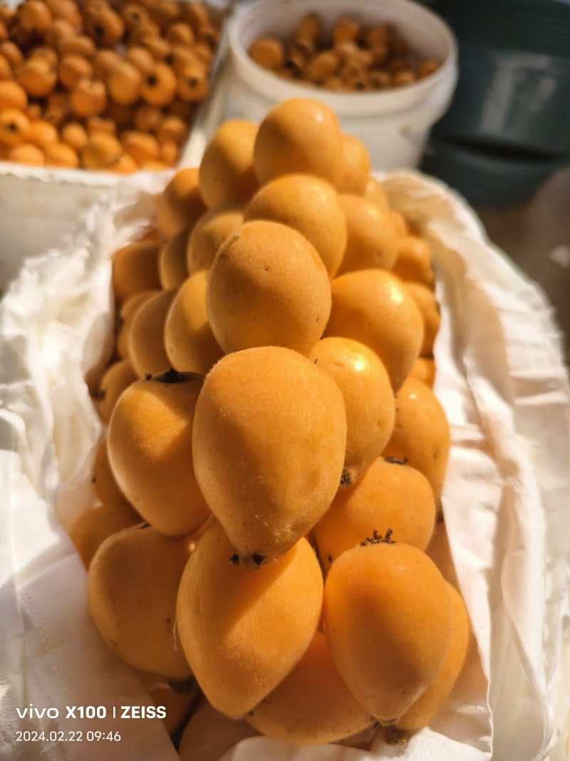 蒙自市鑫瑞种植农民专业合作社