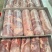 临沂肥猪四号卷，10吨，后腿肉