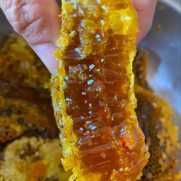 新鲜荆条蜜，纯野生，有需要的亲们记得联系我哈[微笑