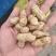 花生【河南花生基地】规格齐全，大量走，诚信经营