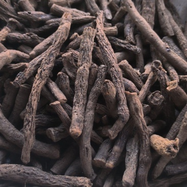 仙茅中药材批发仙茅质量保证量大从优
