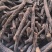 仙茅中药材批发仙茅质量保证量大从优