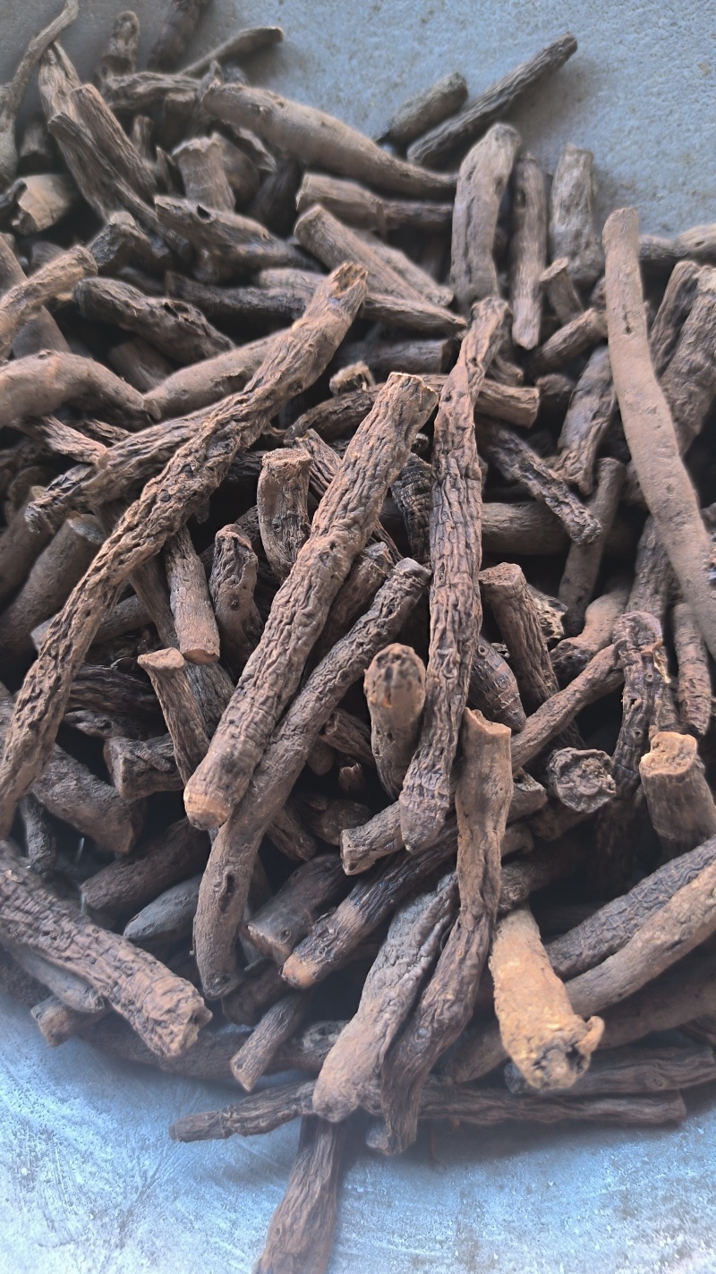 仙茅中药材批发仙茅质量保证量大从优