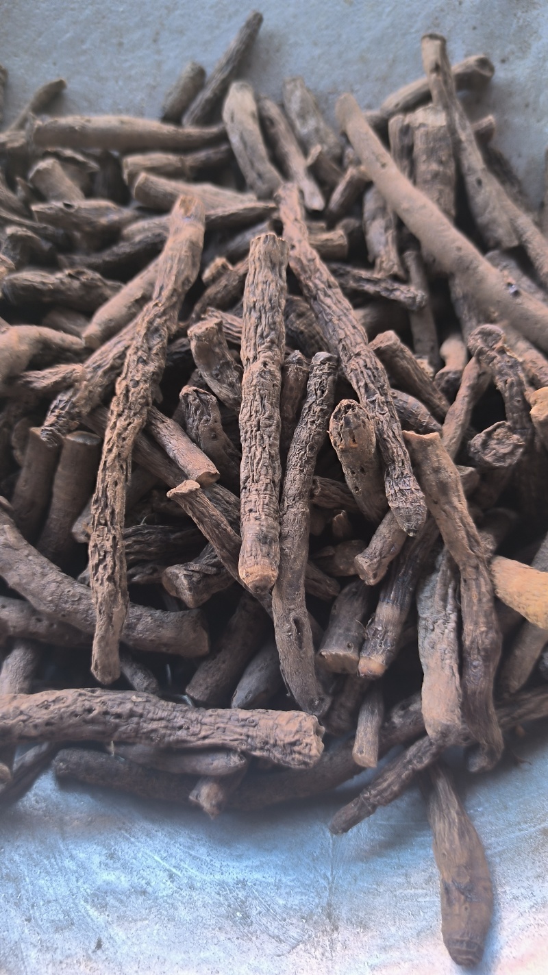 仙茅中药材批发仙茅质量保证量大从优