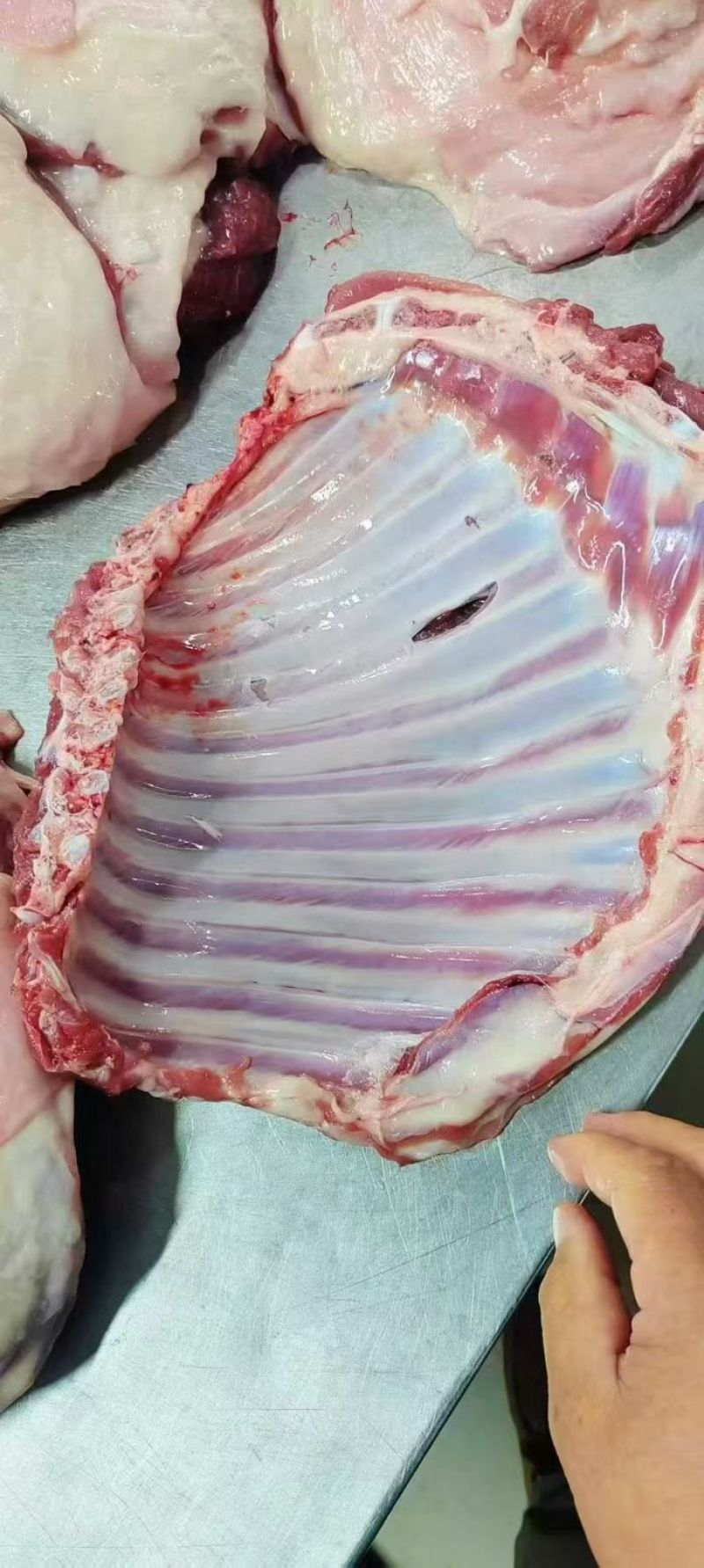 本地羔羊排7—10片有长期稳定供应能力