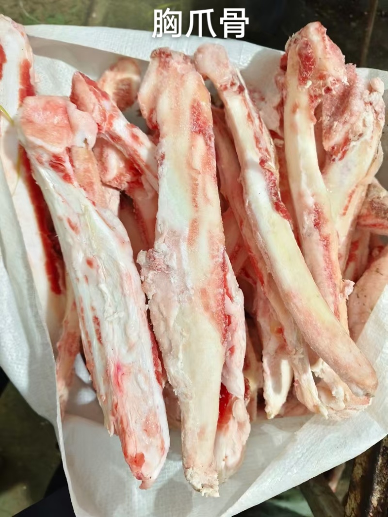 胸爪骨
