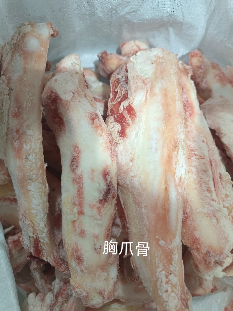 胸爪骨