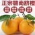 赣南脐橙于都核心果园直供
