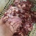 s小板碎肉