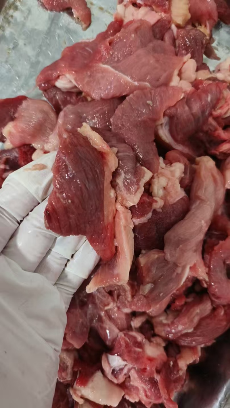 s小板碎肉