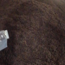 黄茶