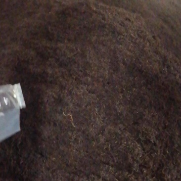 黄茶