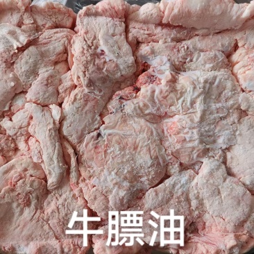 牛膘油