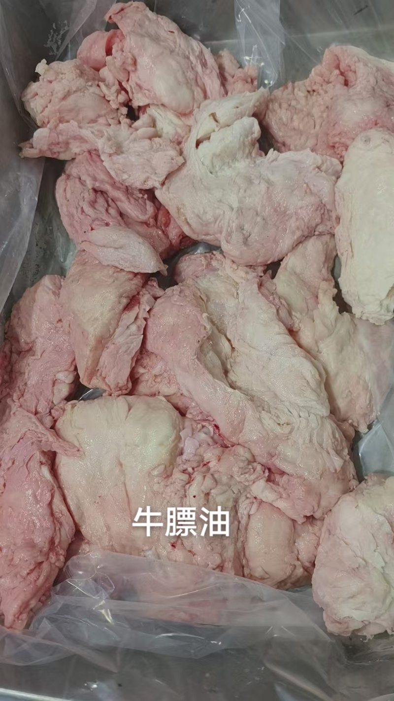 牛膘油