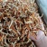 新货精品陈皮，无硫陈皮丝，味正颜色好，大货供应全国可发