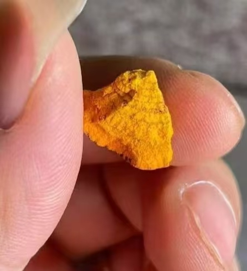 天然牛黄供应全年走货欢迎来电采购