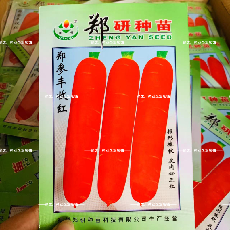 郑研郑参丰收红胡萝卜种子皮肉早熟三红胡萝卜种籽家庭小菜园