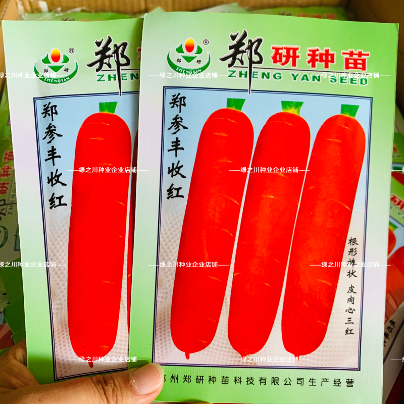 郑研郑参丰收红胡萝卜种子皮肉早熟三红胡萝卜种籽家庭小菜园