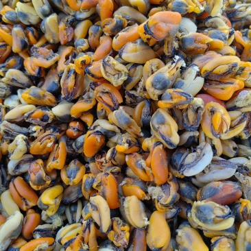 海虹干，淡菜干，干度好，个头大，做菜煲汤皆可